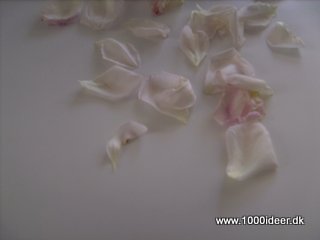 Rosenblade til bryllup  som alternativ til ris (evt. bordpynt) 