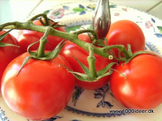 Tomat-blemarmelade - overflod af tomater