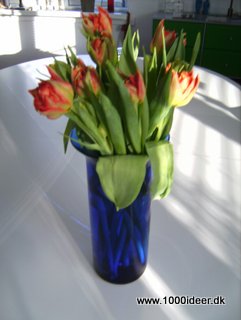 Holdbare tulipaner 